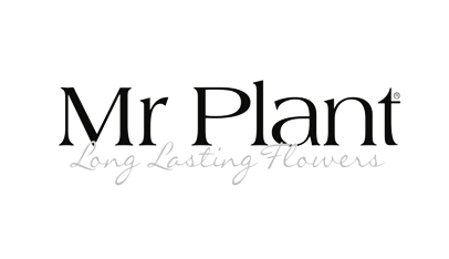 Mr Plant